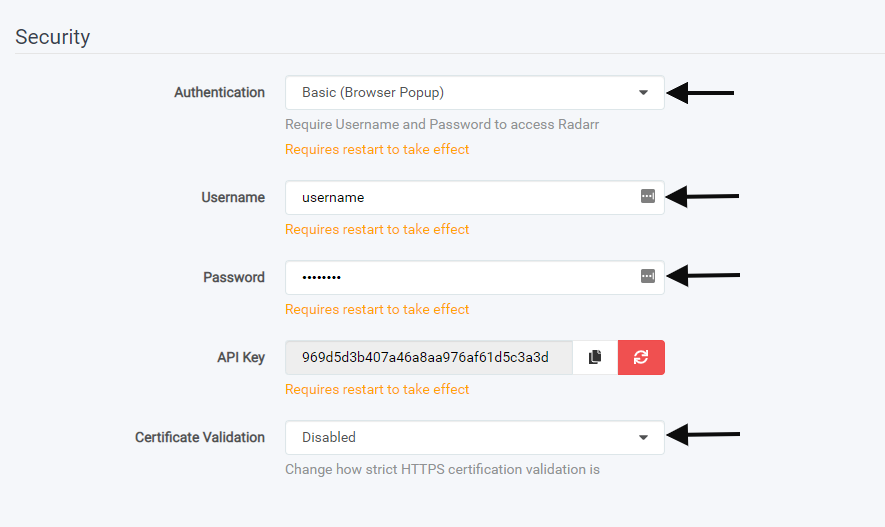 Enter a username and password to secure Radarr